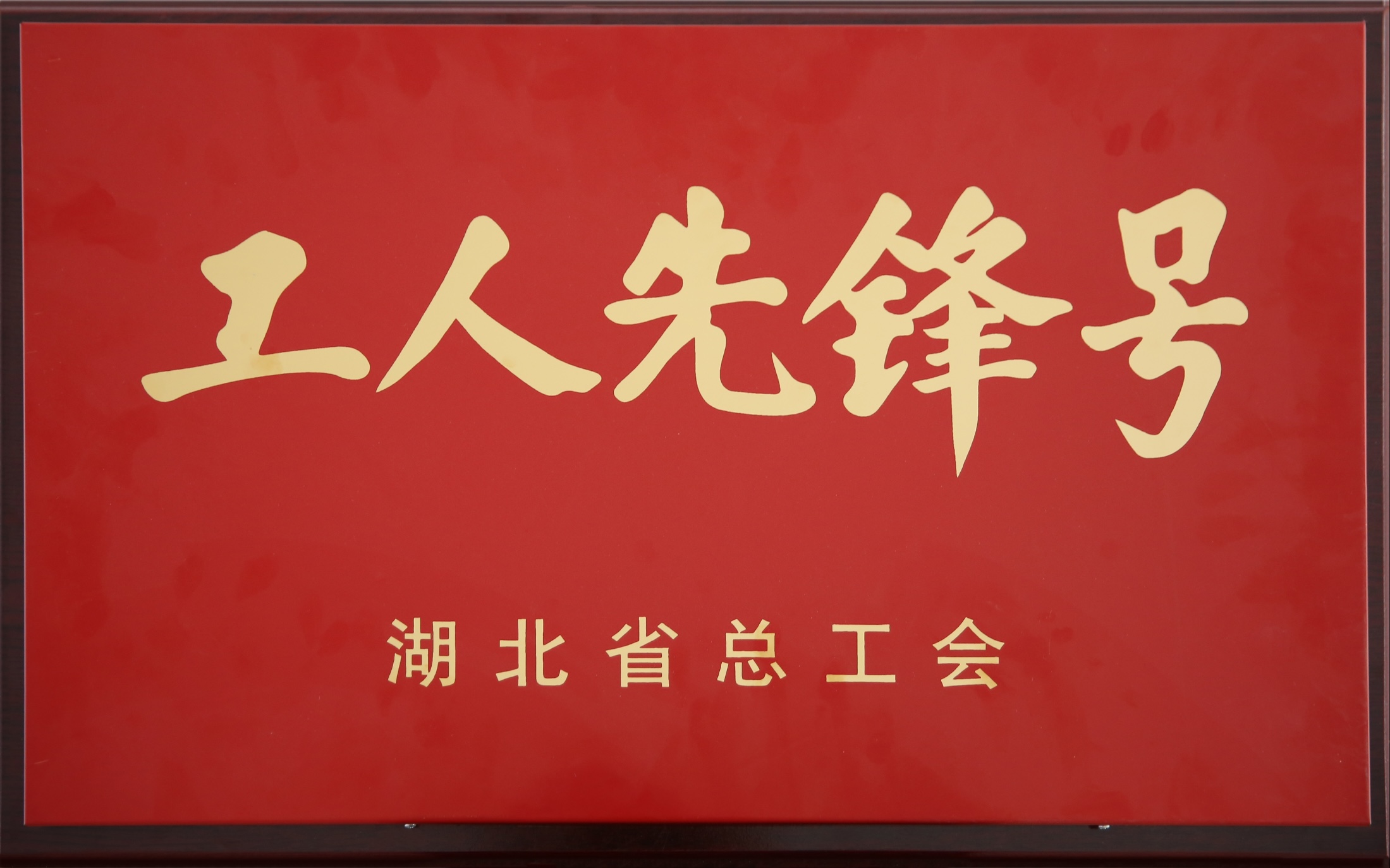 省部級：新冠滅活疫苗研制團隊